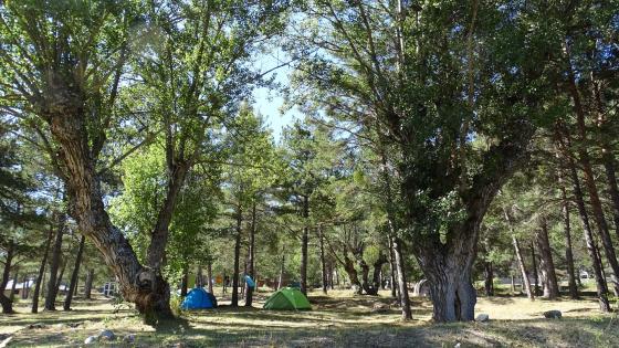 emplacement camping