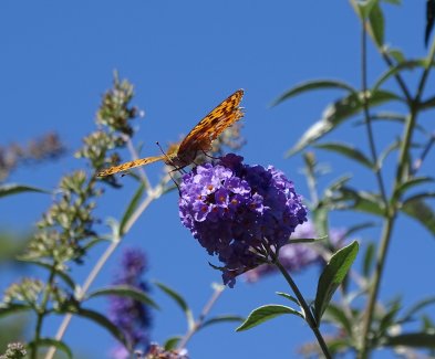 L'été continue